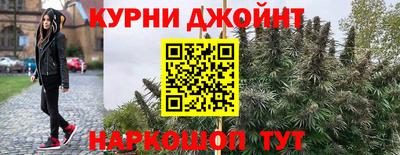 спиды Жуковский
