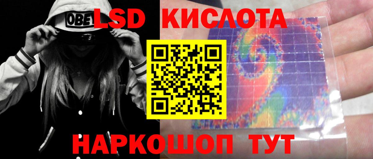 блэк спрут ТОР  ЛСД экстази кислота  ЛСД экстази  Вход с VPN  Елизово  Лсд 25 экстази кислота 