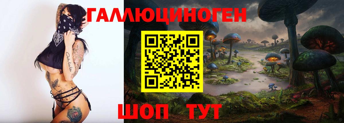 Псилоцибиновые грибы Psilocybine cubensis  Вход с VPN  Елизово 